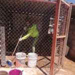 17498720_1288351384534096_4323063104378219313_n