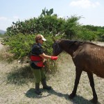 17498980_10154793734889998_6921171588829167145_n