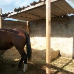 17499230_10154793728284998_7201014766539595416_n