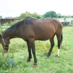 17522563_10154793726654998_48910629183180049_n