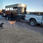 17522802_10154793742379998_5879042855934004408_n