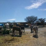 17553561_10154793727469998_885751939948277720_n