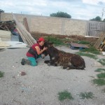 17553685_10154793729349998_8307641750253937154_n