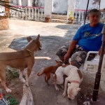 17523161_1296448937057674_2950517963176576860_n