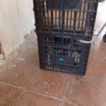 17760997_1297051163664118_8965690413923835819_o