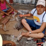 17796285_1296448913724343_365134575636390638_n