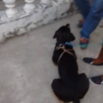 17796452_1297835873585647_1210098445448231545_n