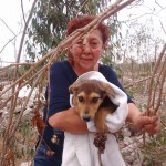 17951469_1311682558867645_3689616973482924038_n