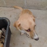 18010539_1310964945606073_3984113829375402495_n