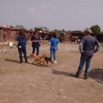 18221672_1331204063582161_7271892182600206288_n