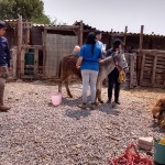 18300830_1331203950248839_2280114295420926431_n (1)