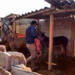 18300939_1331204400248794_4607581454105760757_n