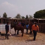 18301063_1331000293602538_5315524482886999282_n