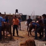 18301372_1331001553602412_740211171777657978_n