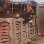 18619967_1353322178037016_5737619180929321233_n