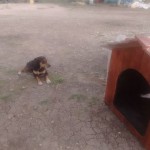 18620167_1353313721371195_3941656077406295518_n