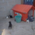 18670812_1353309848038249_6727667864055923718_n