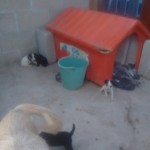 18671133_1353309901371577_5919240091164404942_n