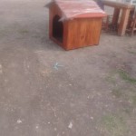 18697981_1353313774704523_8530895876571754793_n