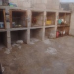 18699779_1353322141370353_5720020017024091876_n