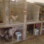 18700236_1353322091370358_607025295207789012_n