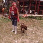 18765826_1356747384361162_3474372115700891681_n