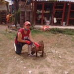 18813174_1356747311027836_5901540972629838347_n