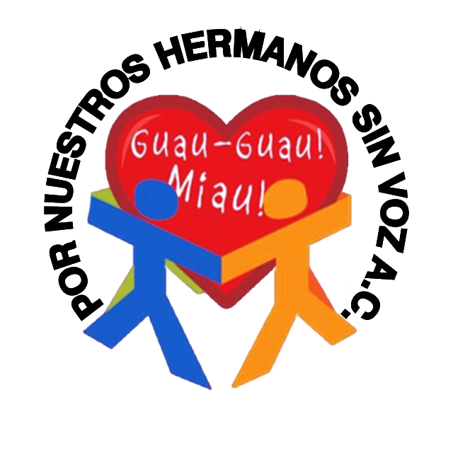 LOGO TAZA