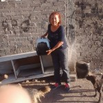 19260642_1376915649011002_7949626969129661679_n