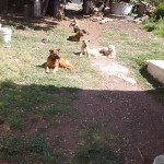 19399754_1378454752190425_2823242646694003749_n