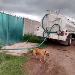 19884483_1398691293500104_3940463461626139043_n