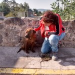 19905063_1396997987002768_5060438073036853096_n