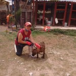 19905380_1397009347001632_3681006050981059310_n