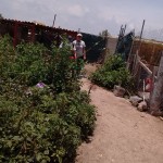 20245463_1410400305662536_2279014632180739341_n