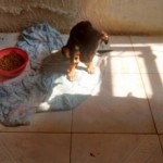 20479494_1418377904864776_8582606134349524214_n