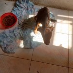 20526184_1418377961531437_7375402711349923197_n