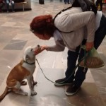 20729674_1429101887125711_3229008751590395502_n