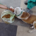 20767781_1429101840459049_2953414491793307554_n