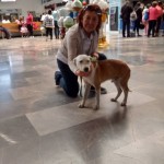 20799868_1429101910459042_5421853971104002627_n