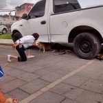 21192910_1443814095654490_7299856710615058082_n (1)