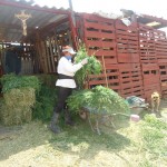 21231627_1447301218639111_1945899959986090408_n