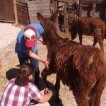 21232041_1447251861977380_1167737951051056717_n