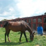 21270806_1447301725305727_214567787572216119_n