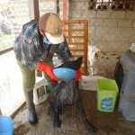 21272459_1447265678642665_1261610489931087478_n