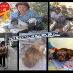 21272542_1447257291976837_2693915614118604034_n