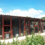 21314366_1447266311975935_5567825875487378595_n