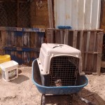 21686446_1460959563939943_6754124690275680670_n