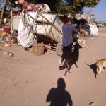 21730836_1453955811306985_4473779202450965929_n