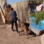 21740362_1453955904640309_1268323512054639992_n