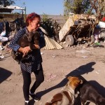 21740506_1453955934640306_7996048135976282954_n